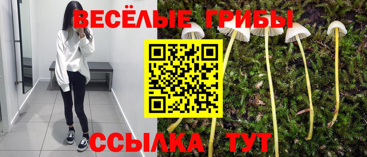 Биробиджан  Псилоцибиновые грибы MAGIC MUSHROOMS  Вход с VPN 