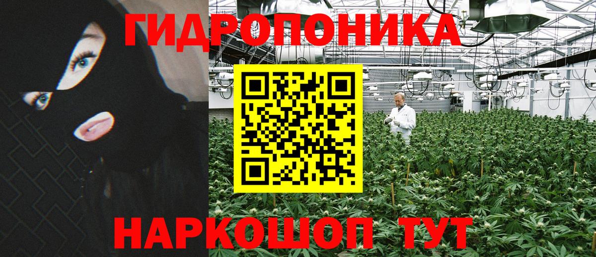 Шишки марихуана семена  Каннабис семена  Биробиджан  Канабис тримм  Вход с VPN 